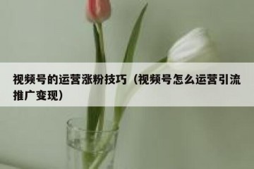 视频号的运营涨粉技巧（视频号怎么运营引流推广变现）