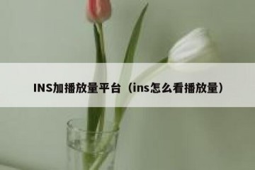 INS加播放量平台（ins怎么看播放量）