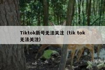 Tiktok新号无法关注（tik tok无法关注）