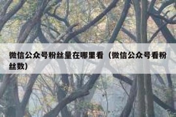 微信公众号粉丝量在哪里看（微信公众号看粉丝数）