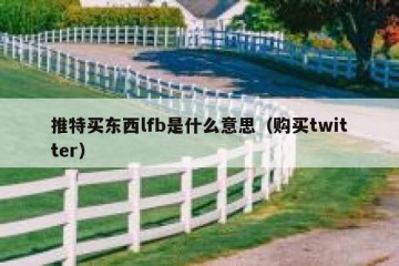 推特买东西lfb是什么意思（购买twitter）