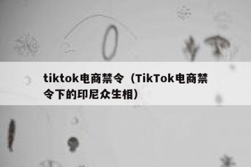 tiktok电商禁令（TikTok电商禁令下的印尼众生相）