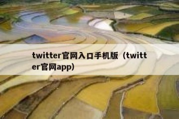 twitter官网入口手机版（twitter官网app）