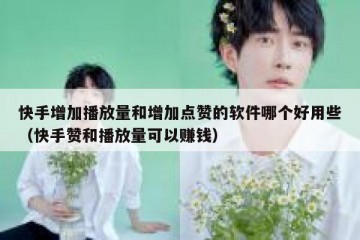 快手增加播放量和增加点赞的软件哪个好用些（快手赞和播放量可以赚钱）
