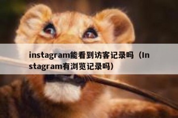 instagram能看到访客记录吗（Instagram有浏览记录吗）
