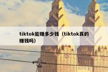 tiktok能赚多少钱（tiktok真的赚钱吗）