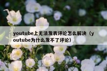 youtube上无法发表评论怎么解决（youtube为什么发不了评论）