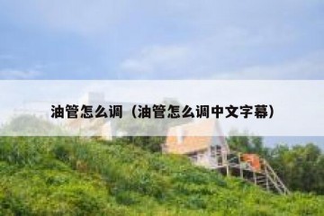 油管怎么调（油管怎么调中文字幕）