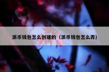 派币钱包怎么创建的（派币钱包怎么弄）