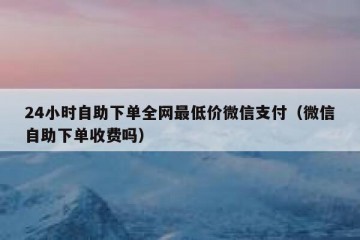 24小时自助下单全网最低价微信支付（微信自助下单收费吗）