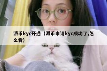派币kyc开通（派币申请kyc成功了,怎么看）