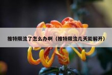 推特限流了怎么办啊（推特限流几天能解开）