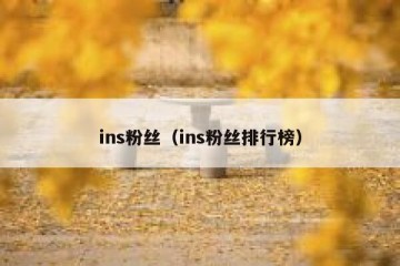 ins粉丝（ins粉丝排行榜）