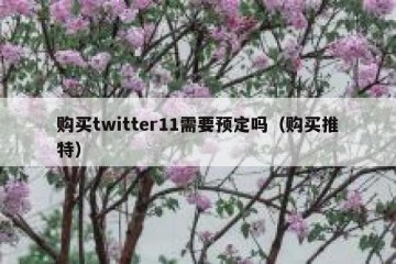 购买twitter11需要预定吗（购买推特）