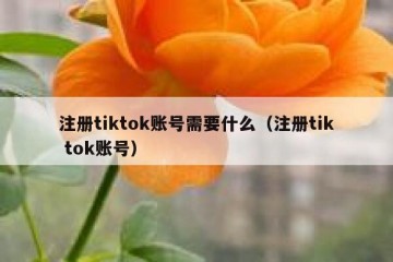 注册tiktok账号需要什么（注册tik tok账号）