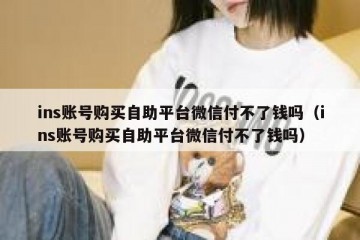 ins账号购买自助平台微信付不了钱吗（ins账号购买自助平台微信付不了钱吗）