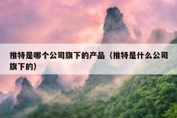 推特是哪个公司旗下的产品（推特是什么公司旗下的）