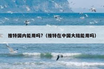 推特国内能用吗?（推特在中国大陆能用吗）