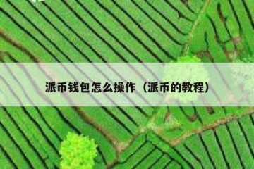 派币钱包怎么操作（派币的教程）