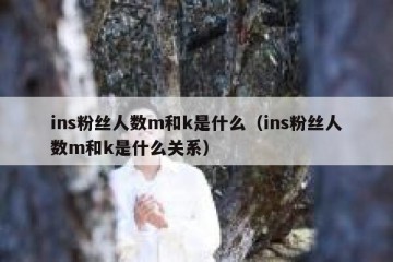 ins粉丝人数m和k是什么（ins粉丝人数m和k是什么关系）