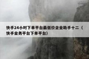 快手24小时下单平台最低价企业助手十二（快手业务平台下单平台）