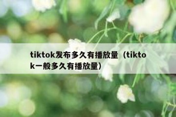 tiktok发布多久有播放量（tiktok一般多久有播放量）