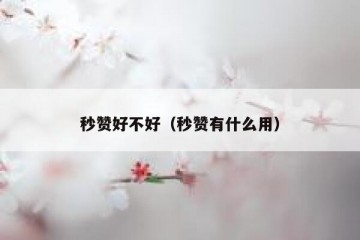 秒赞好不好（秒赞有什么用）
