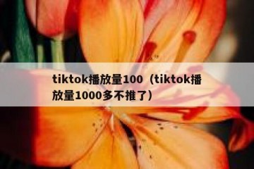 tiktok播放量100（tiktok播放量1000多不推了）