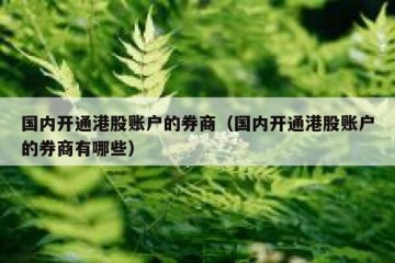 国内开通港股账户的券商（国内开通港股账户的券商有哪些）