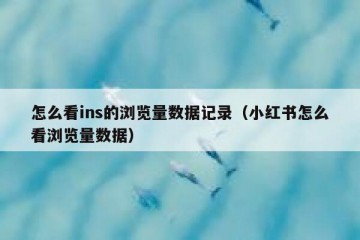 怎么看ins的浏览量数据记录（小红书怎么看浏览量数据）