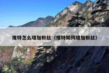 推特怎么增加粉丝（推特如何增加粉丝）