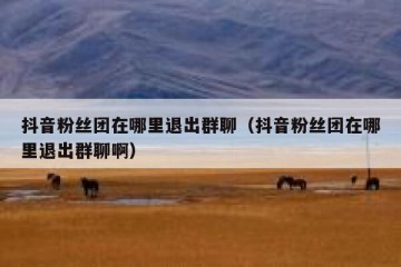 抖音粉丝团在哪里退出群聊（抖音粉丝团在哪里退出群聊啊）