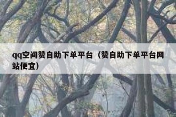 qq空间赞自助下单平台（赞自助下单平台网站便宜）