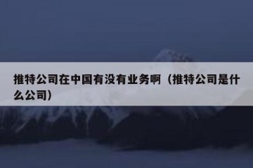 推特公司在中国有没有业务啊（推特公司是什么公司）