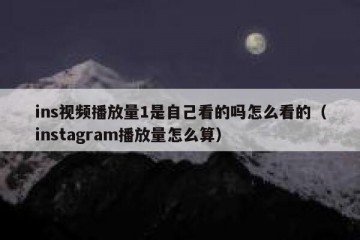 ins视频播放量1是自己看的吗怎么看的（instagram播放量怎么算）