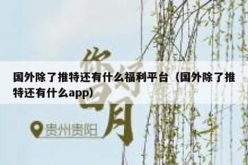 国外除了推特还有什么福利平台（国外除了推特还有什么app）