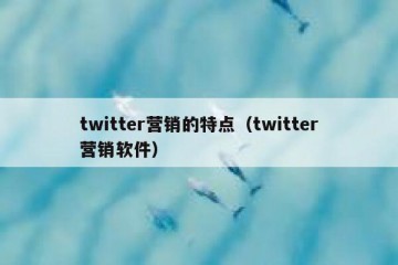 twitter营销的特点（twitter营销软件）