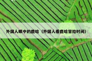 外国人眼中的鹿晗（外国人看鹿晗冒险时间）