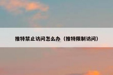 推特禁止访问怎么办（推特限制访问）