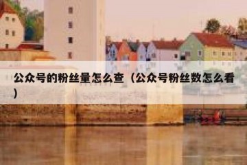 公众号的粉丝量怎么查（公众号粉丝数怎么看）