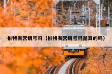 推特有营销号吗（推特有营销号吗是真的吗）
