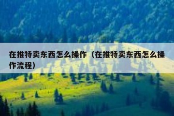 在推特卖东西怎么操作（在推特卖东西怎么操作流程）