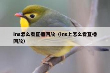 ins怎么看直播回放（ins上怎么看直播回放）