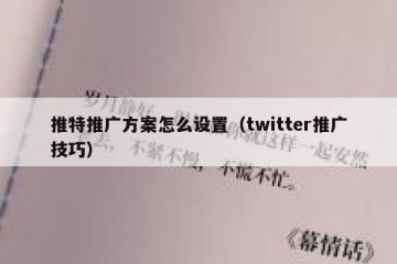 推特推广方案怎么设置（twitter推广技巧）
