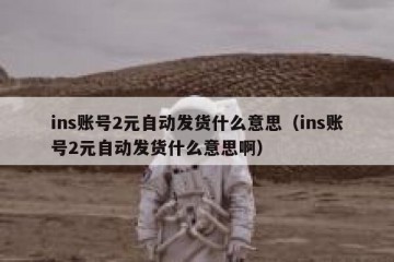 ins账号2元自动发货什么意思（ins账号2元自动发货什么意思啊）
