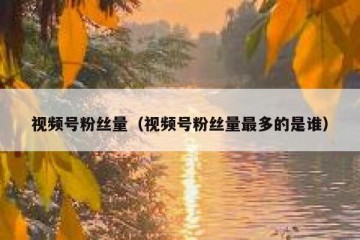 视频号粉丝量（视频号粉丝量最多的是谁）