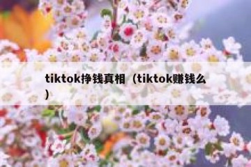 tiktok挣钱真相（tiktok赚钱么）