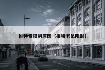 推特受限制原因（推特老是限制）