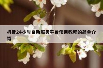 抖音24小时自助服务平台使用教程的简单介绍