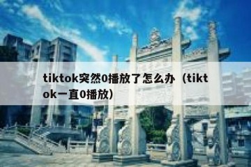 tiktok突然0播放了怎么办（tiktok一直0播放）
